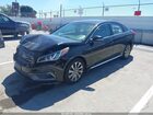 2017 Hyundai Sonata Sport Черный vin: 5NPE34AF5HH554253