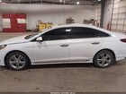 2019 Hyundai Sonata Sport White vin: 5NPE34AF5KH731696