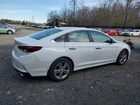 2019 Hyundai Sonata Sel White vin: 5NPE34AF5KH811015