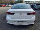 2019 Hyundai Sonata Sel White vin: 5NPE34AF5KH811015