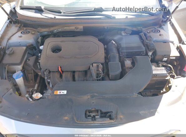 5NPE34AF9GH296981 2016 HYUNDAI SONATA Silver Widok z tyłu