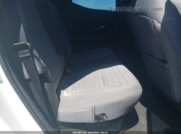 5NTJBDAE2RH090205 2024 HYUNDAI SANTA CRUZ White Вид наклейки з VIN-кодом