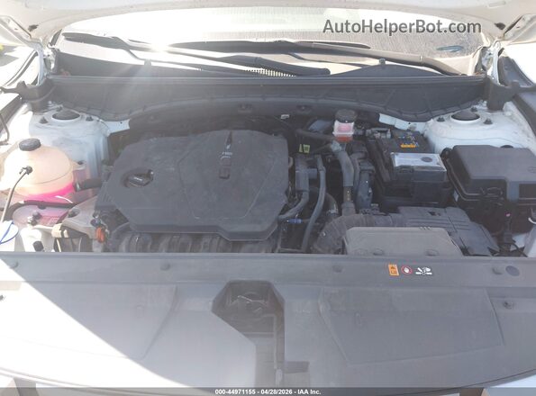 5NTJBDAE2RH090205 2024 HYUNDAI SANTA CRUZ White Вид ззаду