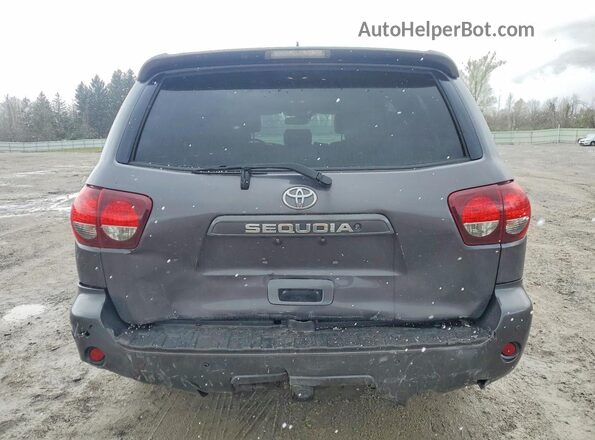 5TDBY5G13JS158117 2018 TOYOTA SEQUOIA Серый Вид сзади