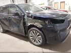 2025 Toyota Highlander Platinum Blue vin: 5TDKDRBH4SS578266