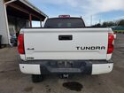 2019 Toyota Tundra Platinum White vin: 5TFAY5F16KX823178