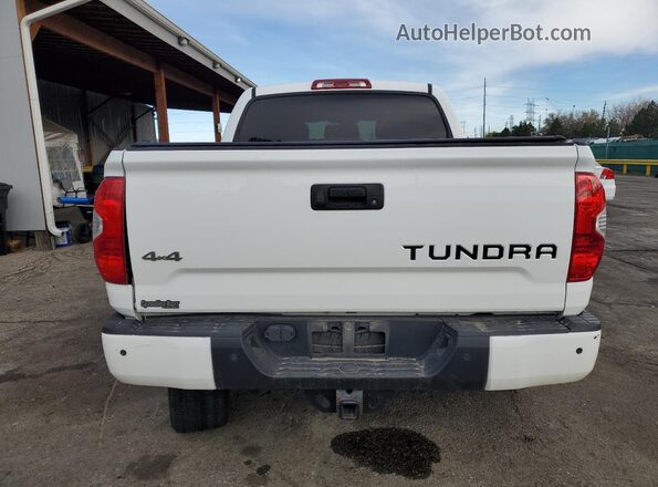 5TFAY5F16KX823178 2019 TOYOTA TUNDRA White Հետևի տեսք