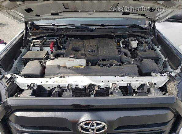 5TFKB5CD8PX001610 2023 TOYOTA TUNDRA Белый Вид задней части салона