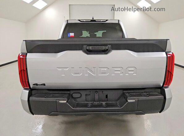 5TFKB5DB3SX311735 2025 TOYOTA TUNDRA Серебряный Вид сзади