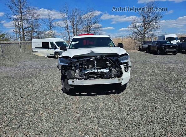 5TFKB5GD3RX002547 2024 TOYOTA TUNDRA White Vista frontal