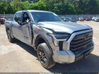 2024 Toyota Tundra Sr5 Gray vin: 5TFLA5DB1RX171069