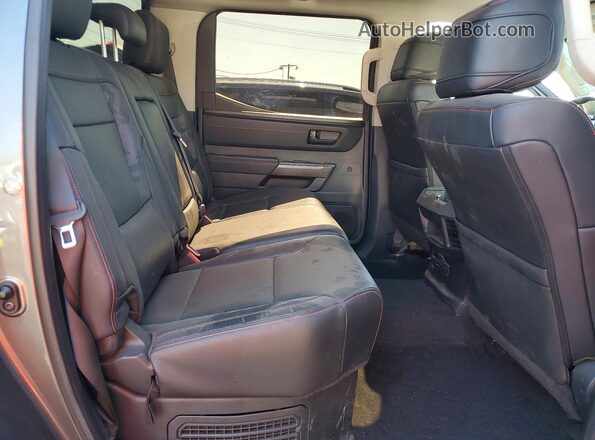 5TFPC5DB9PX031702 2023 TOYOTA TUNDRA Gray Вид задніх сидінь