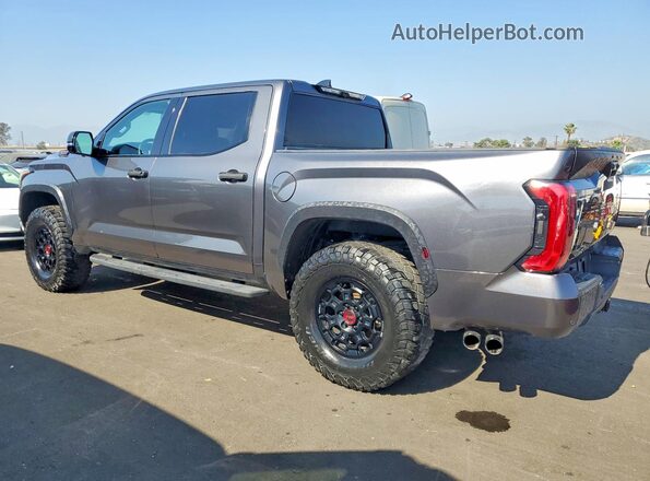 5TFPC5DB9PX031702 2023 TOYOTA TUNDRA Gray Задня ліва чверть