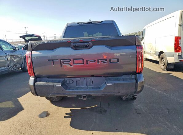 5TFPC5DB9PX031702 2023 TOYOTA TUNDRA Gray Вид ззаду