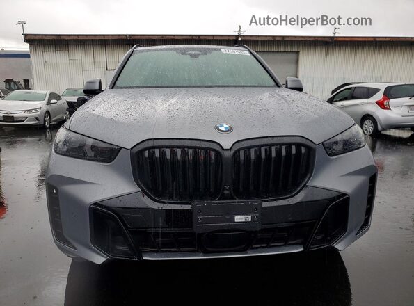 5UX13EU06S9W85699 2025 BMW X5 Серый Вид спереди