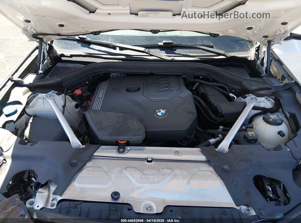 5UX43DP01P9P33880 2023 BMW X3 Белый Вид сзади