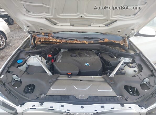 5UX53DP00R9W98661 2024 BMW X3 Белый Вид сзади