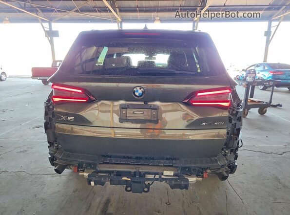 5UXCR6C09P9P94714 2023 BMW X5 Gray უკანა ხედი