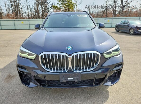 5UXTA6C09P9P96485 2023 BMW X5 Синий Вид спереди
