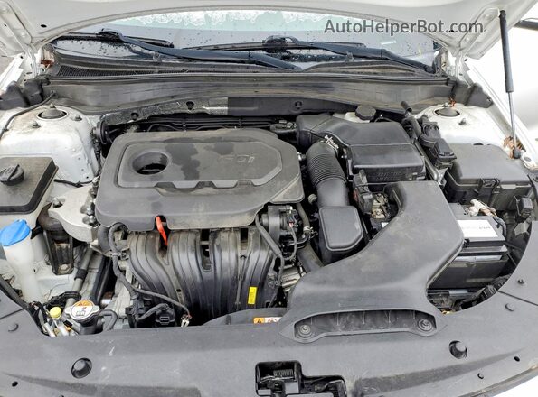 5XXGT4L39GG065425 2016 KIA OPTIMA White Սալոնի հետևի տեսք