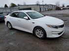 2016 Kia Optima Lx White vin: 5XXGT4L39GG065425