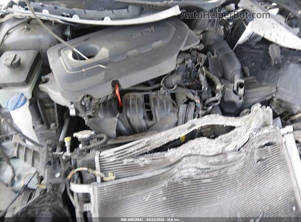 5XXGT4L39GG099980 2016 KIA OPTIMA Серый Вид сзади