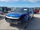 2024 Kia Sportage Ex Blue vin: 5XYK33DF0RG149435