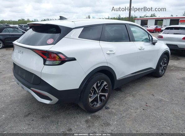 5XYK33DF2RG218626 2024 KIA SPORTAGE White Tył prawy