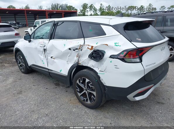 5XYK33DF2RG218626 2024 KIA SPORTAGE White Tył lewy