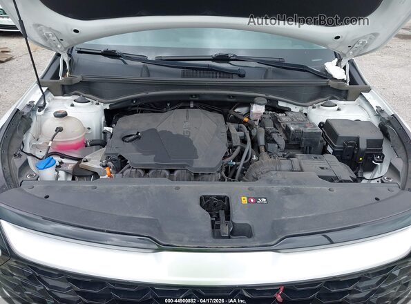 5XYK33DF2RG218626 2024 KIA SPORTAGE White Widok z tyłu