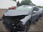 2024 Kia Sportage Ex Blue vin: 5XYK3CDF2RG144821