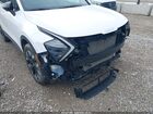 2024 Kia Sportage X-line White vin: 5XYK6CDF0RG221421