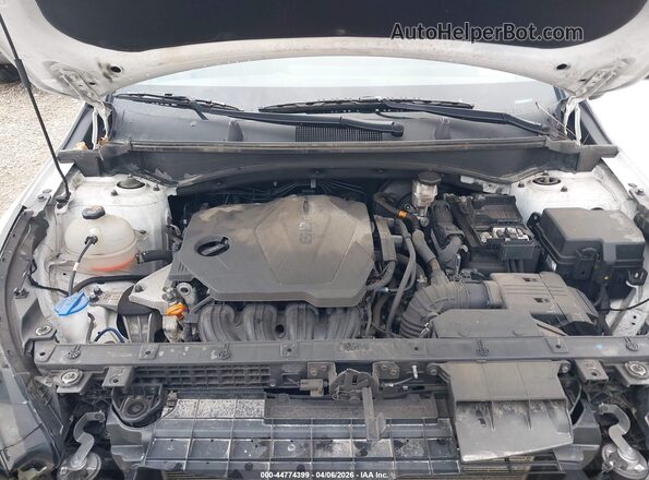 5XYK6CDF0RG221421 2024 KIA SPORTAGE White Widok z tyłu