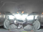 2024 Kia Sportage X Line Green vin: 5XYK6CDF7RG140819