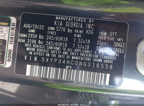 5XYP34HC0NG316558 2022 KIA TELLURIDE Gray Widok komory silnika
