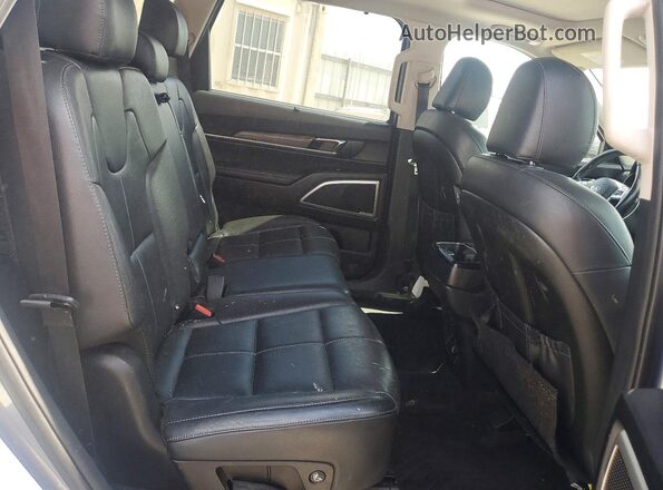 5XYP34HC7LG042188 2020 KIA TELLURIDE Blue Vista interior trasera