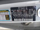 2024 Kia Telluride Ex X-line Gray vin: 5XYP3DGC0RG518680