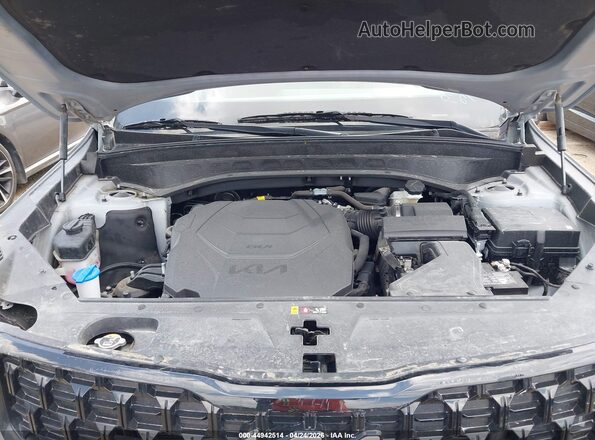 5XYP3DGC0RG518680 2024 KIA TELLURIDE Gray Widok z tyłu