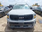 2024 Kia Telluride Ex X-line Gray vin: 5XYP3DGC0RG518680