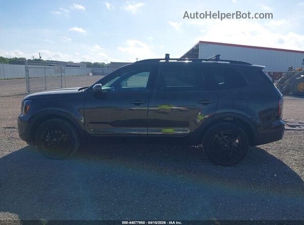 5XYP3DGC3RG440556 2024 KIA TELLURIDE Brown 
