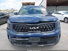 2024 Kia Telluride Ex X-line Dark Blue vin: 5XYP3DGC5RG470870