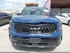2024 Kia Telluride Ex X-line Dark Blue vin: 5XYP3DGC5RG470870
