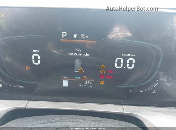 5XYP3DGC6PG355580 2023 KIA TELLURIDE Синий Вид задних сидений