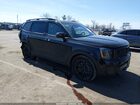 2025 Kia Telluride Ex X-line Black vin: 5XYP3DGCXSG571425