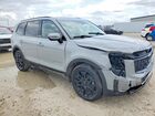 2022 Kia Telluride Ex Silver vin: 5XYP3DHC5NG285372