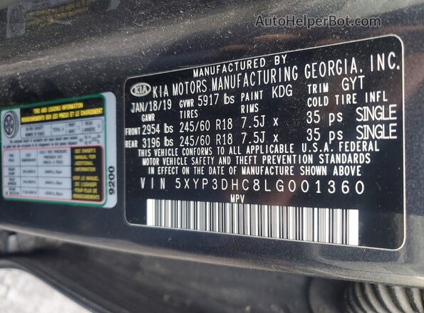 5XYP3DHC8LG001360 2020 KIA TELLURIDE Gray Widok naklejki z numerem VIN