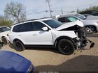 2024 Kia Telluride Sx Prestige X-pro White vin: 5XYP5DGC0RG445305