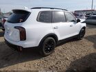 2024 Kia Telluride Sx Prestige X-pro White vin: 5XYP5DGC0RG445305