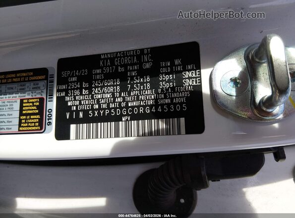 5XYP5DGC0RG445305 2024 KIA TELLURIDE White Vista del compartimento del motor