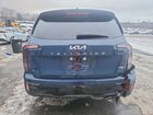 2024 Kia Telluride Sx X-line Blue vin: 5XYP5DGC0RG515451